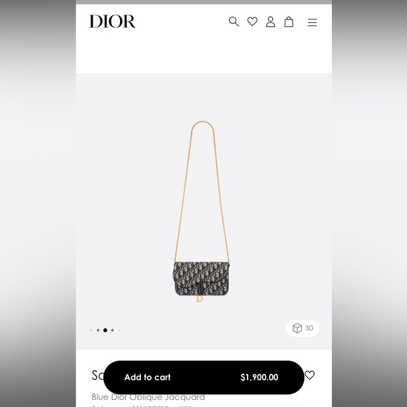 Dior Saddle Pouch with Chain - Picture 2 of 10